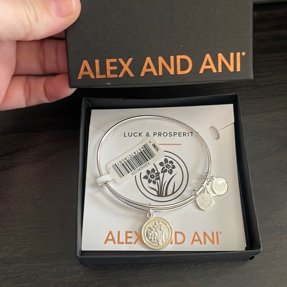 Alex and Ani Birthday Bangle of the Month December NWT - Picture 1 of 3